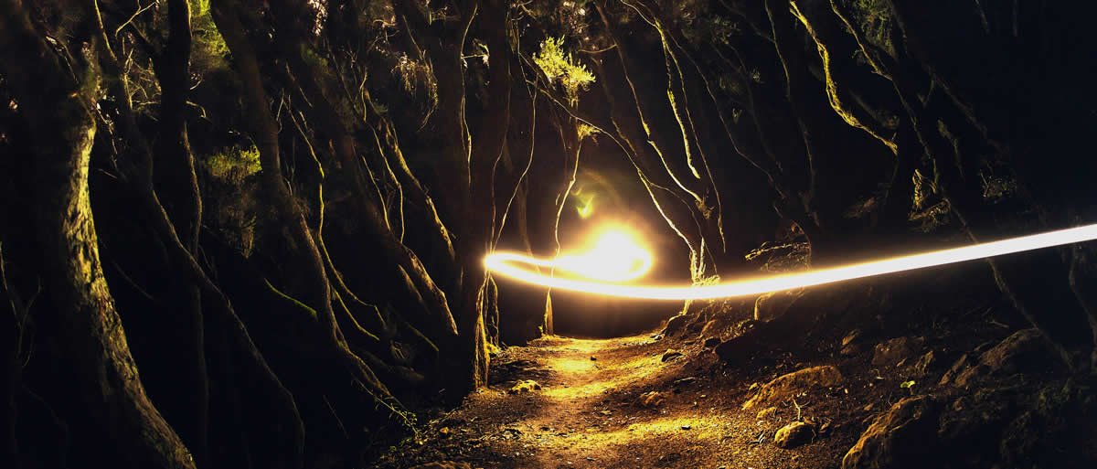 Pfad in dunklem Wald mit LichtstrahlDunlker