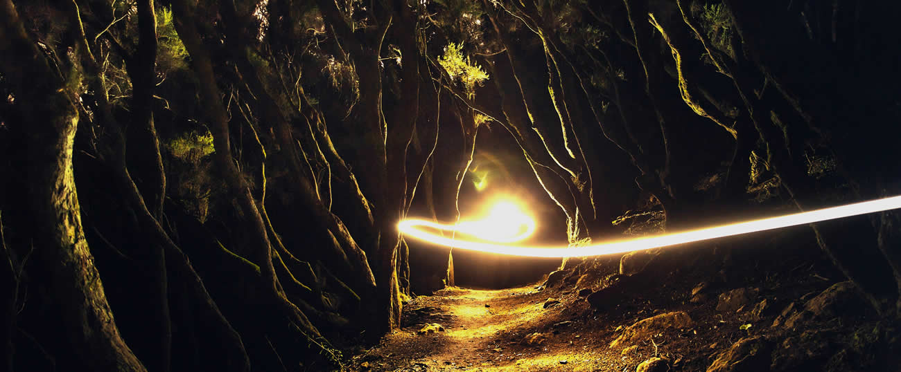 beleuchteter Weg in dunklem Wald mit Lichtstrahl